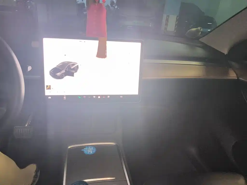 Tesla Model Y — миниатюра 6