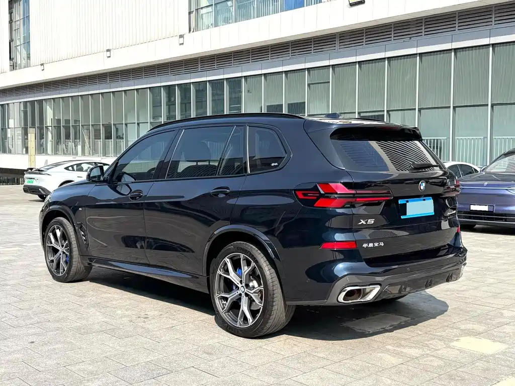 BMW X5 — миниатюра 8