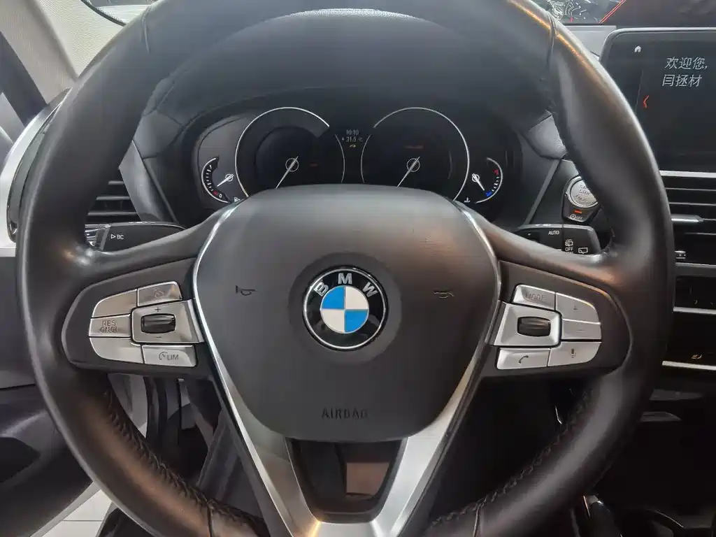 BMW X3 xDrive25i Luxury Package, фото 9