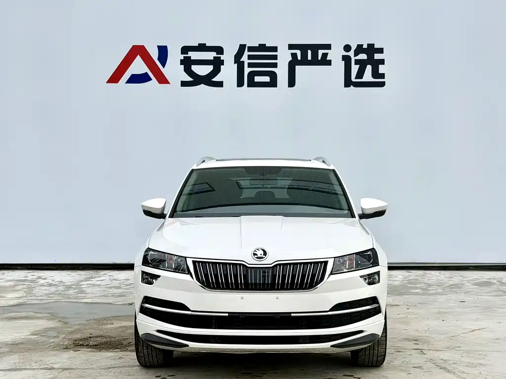 Skoda Karoq TSI280 Premium Edition, фото 2