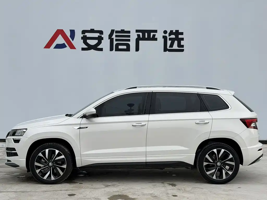 Skoda Karoq TSI280 Premium Edition, фото 9