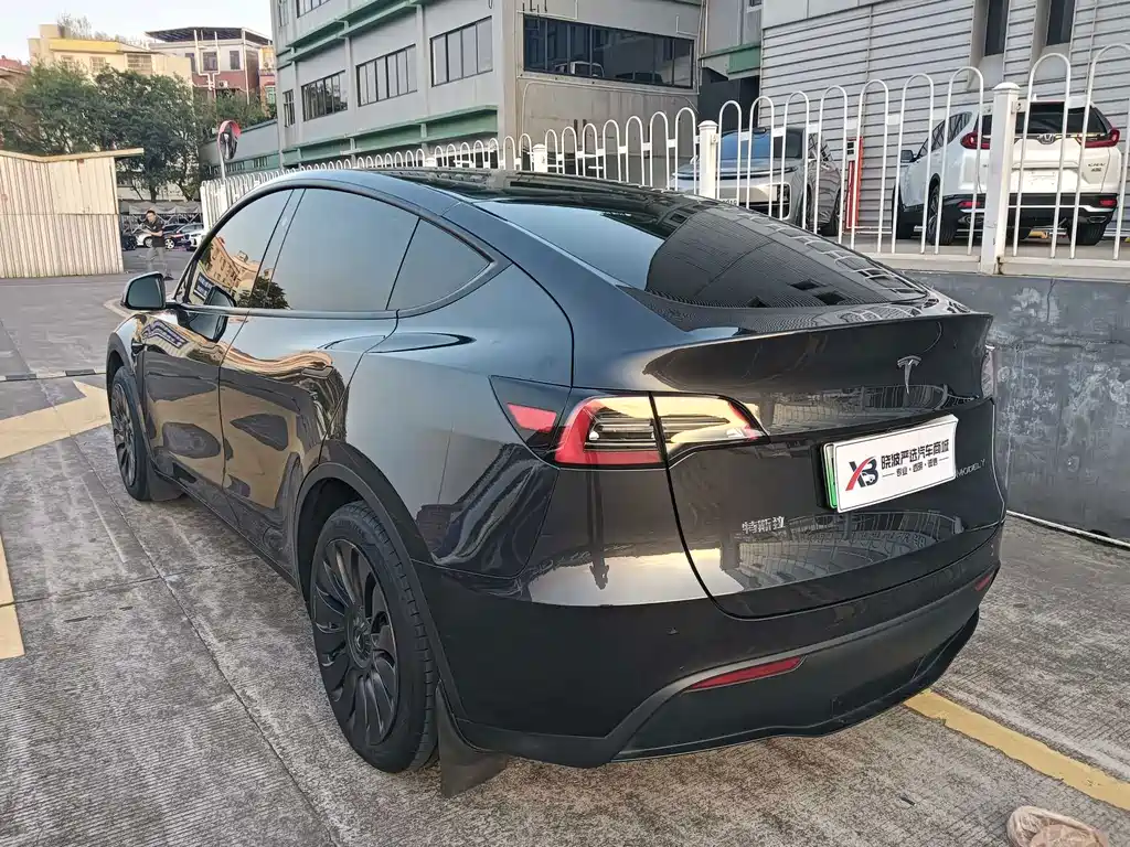 Tesla Model Y — миниатюра 4