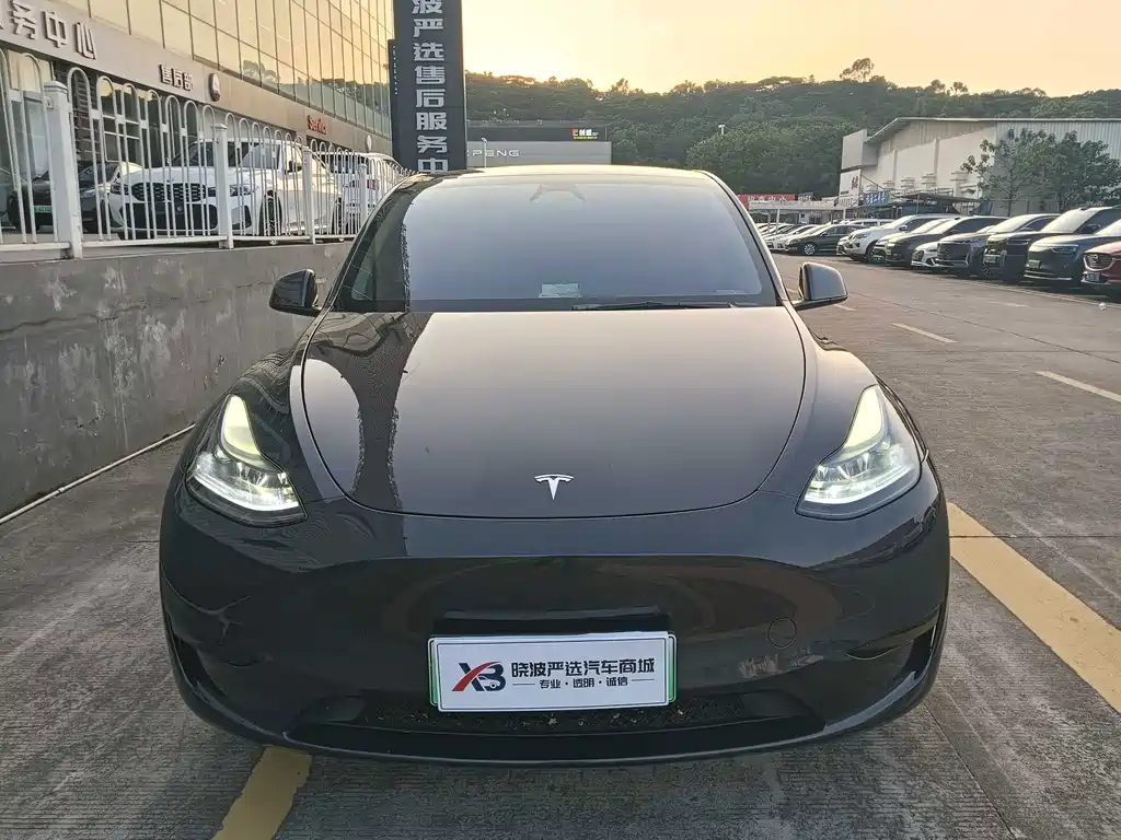 Tesla Model Y — миниатюра 2