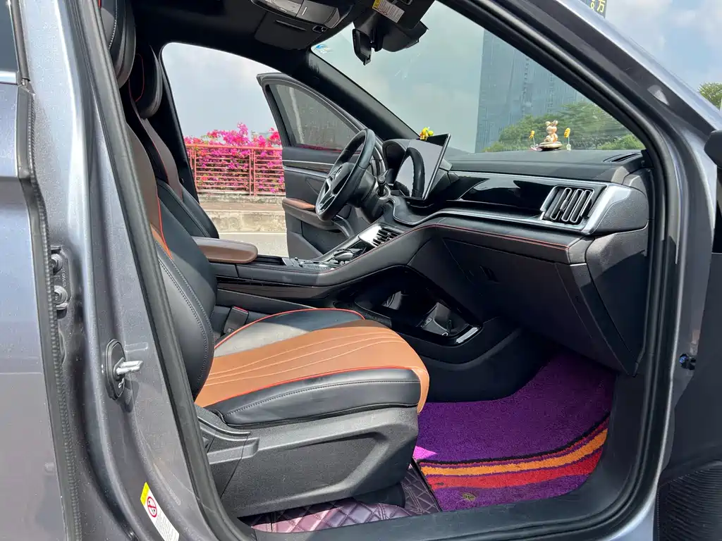 BYD PLUS — миниатюра 7