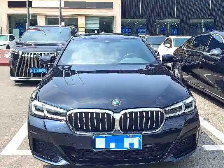 BMW 5 Series (Import) — миниатюра 2