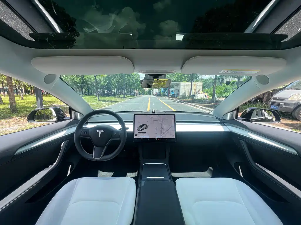 Tesla Model 3 2021 3D1