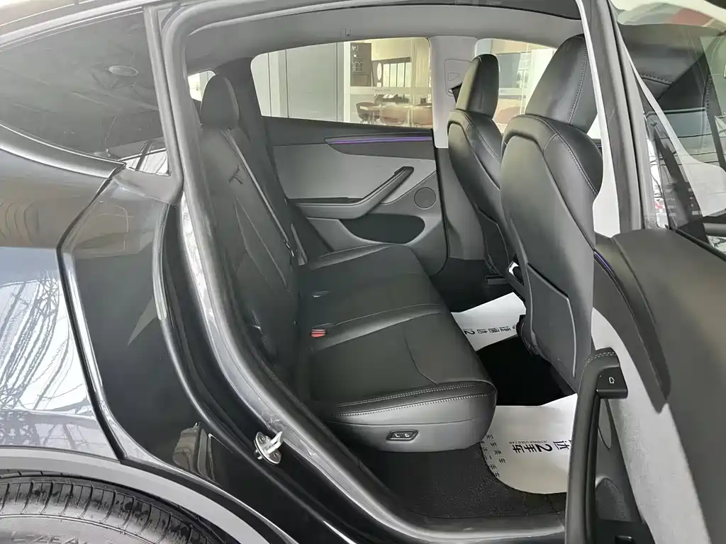 Tesla Model Y — миниатюра 19