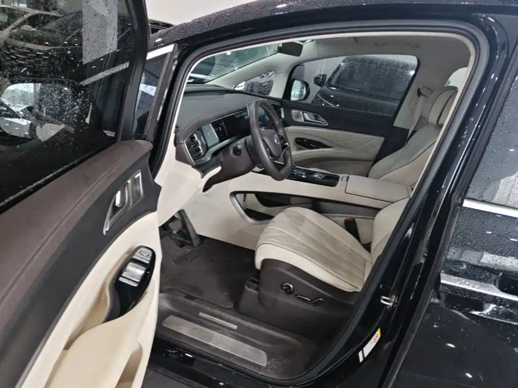 Denza Denza D9 — миниатюра 16