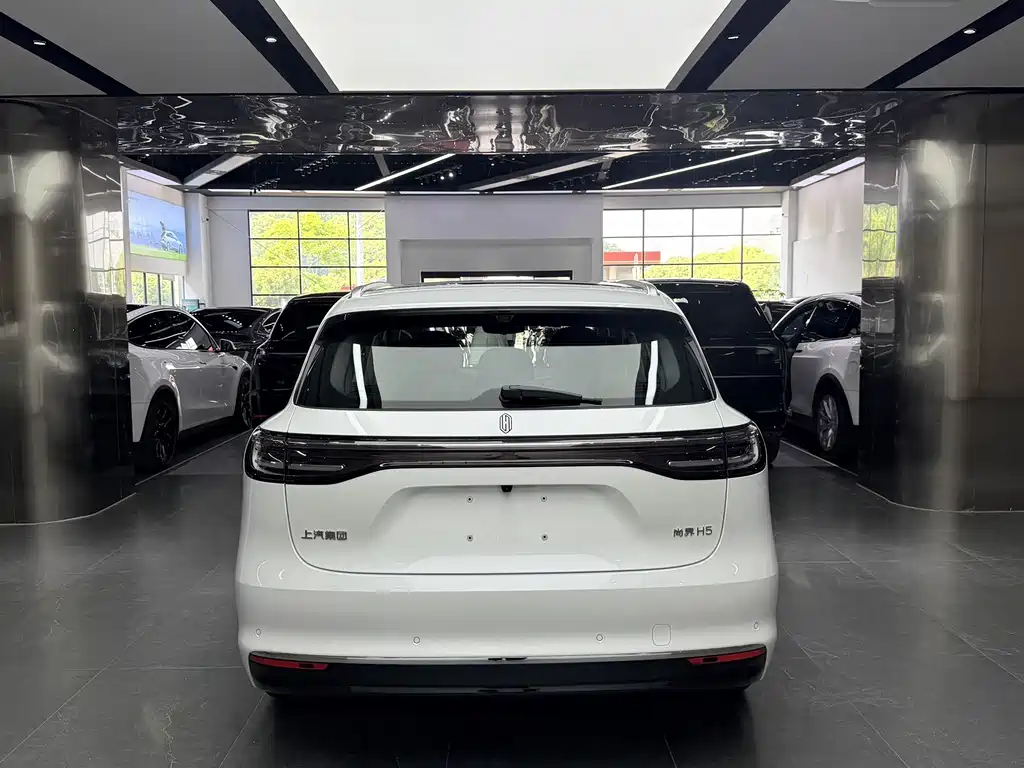 Shangjie Shangjie H5 — миниатюра 15