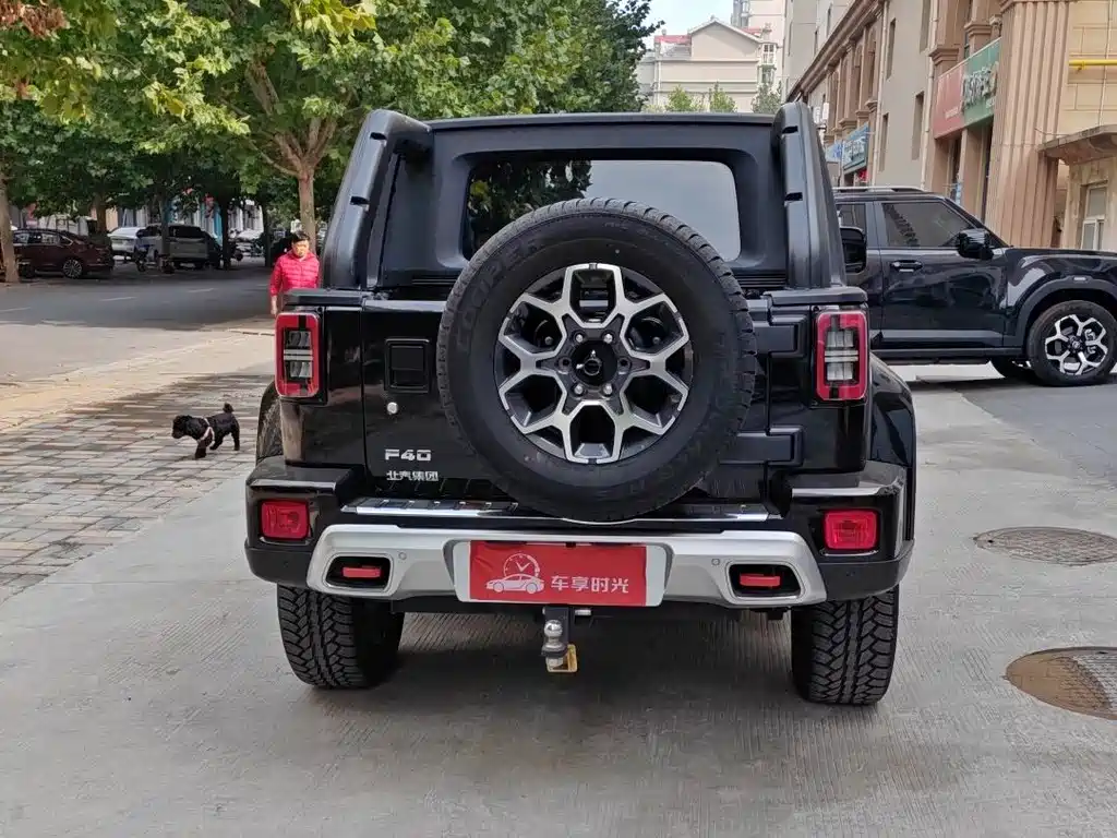 Beijing Off-Road F40 — миниатюра 4