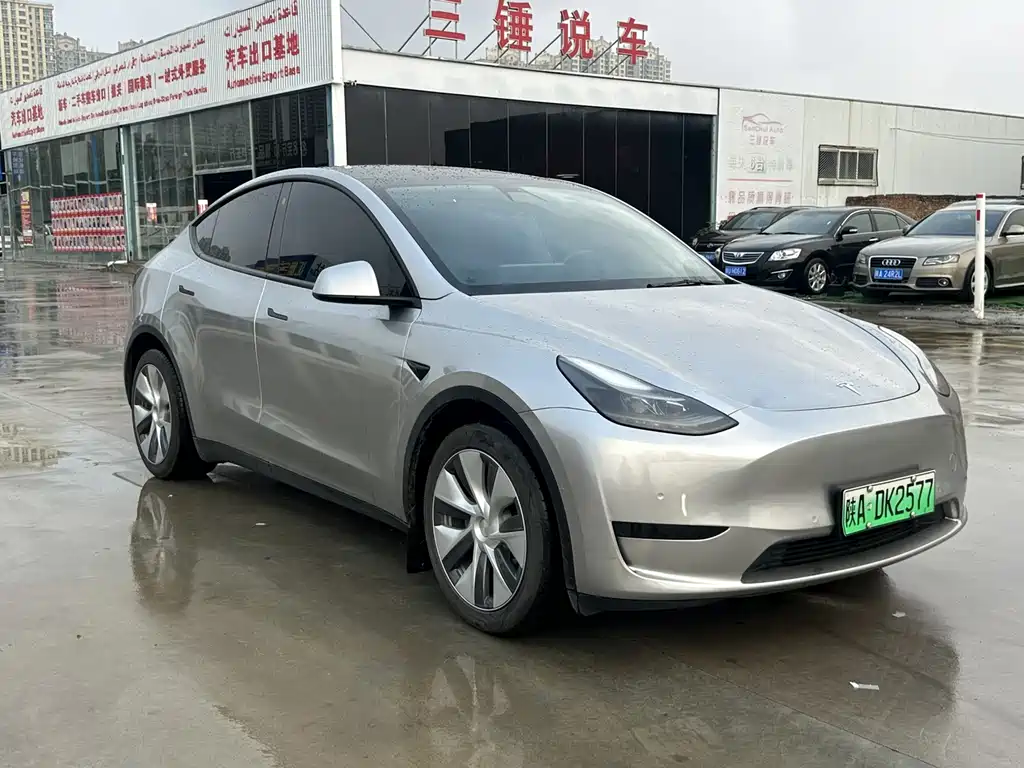 Tesla Model Y — миниатюра 3