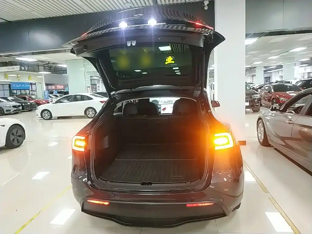 Tesla Model Y — миниатюра 19