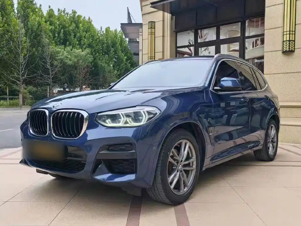 BMW X3 — миниатюра 2