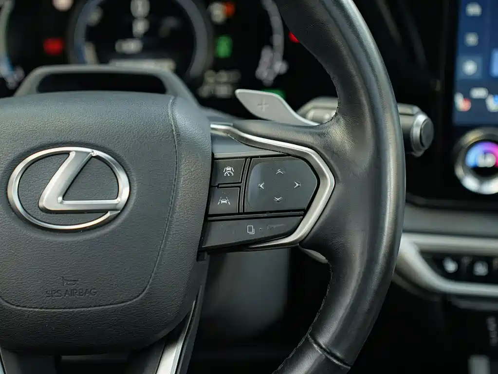 Lexus RX New Energy — миниатюра 22