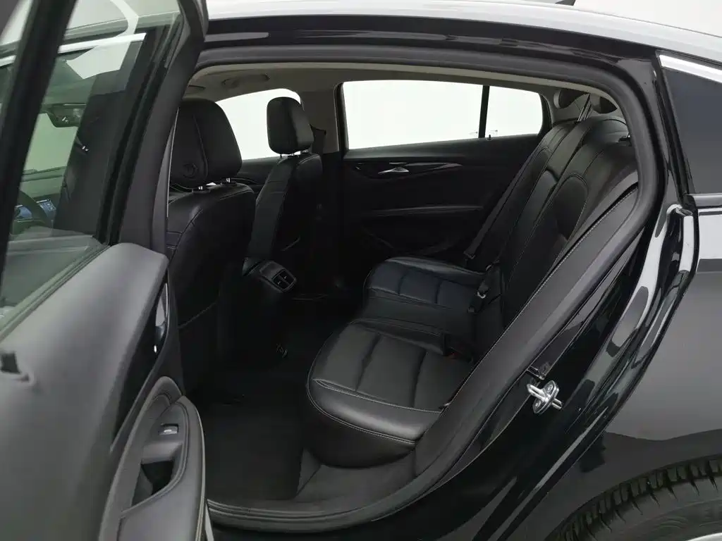 Buick Regal — миниатюра 15