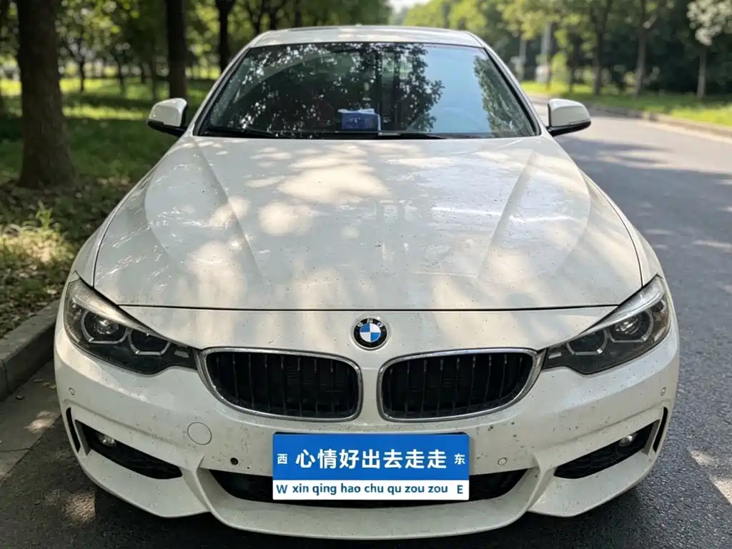 BMW 4 Series — миниатюра 2