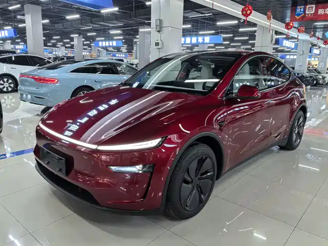 TESLA MODEL Y 2025