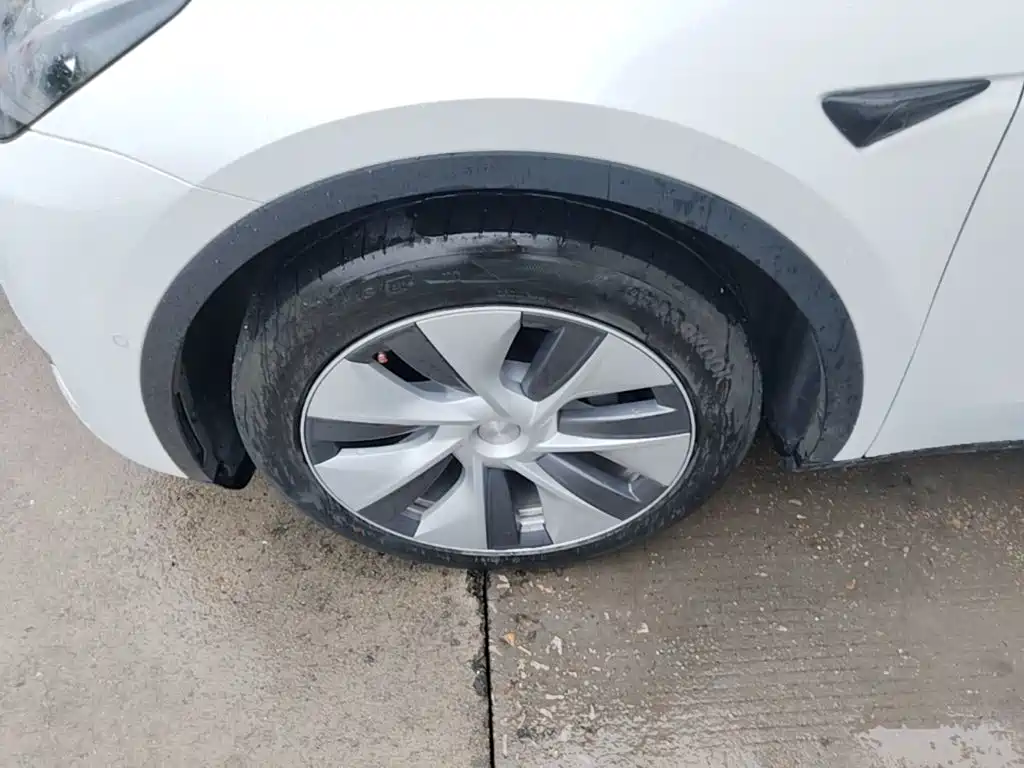 Tesla Model Y — миниатюра 23