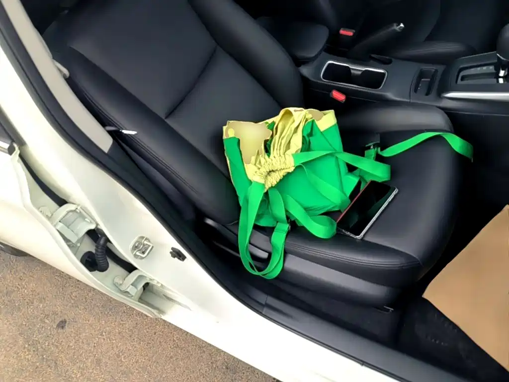 Nissan Sylphy — миниатюра 25