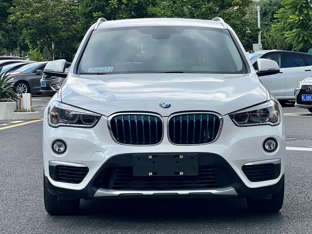 BMW X1 NEW ENERGY