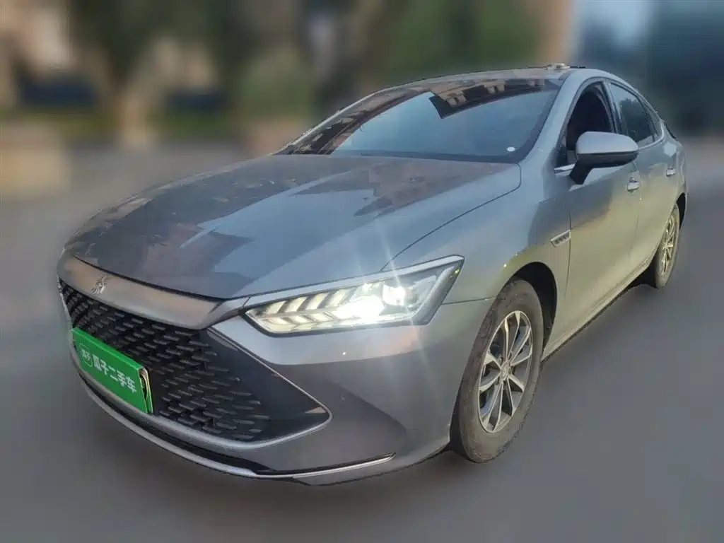 BYD Qin Plus PLUS 2024 DM-i 55KM Lead