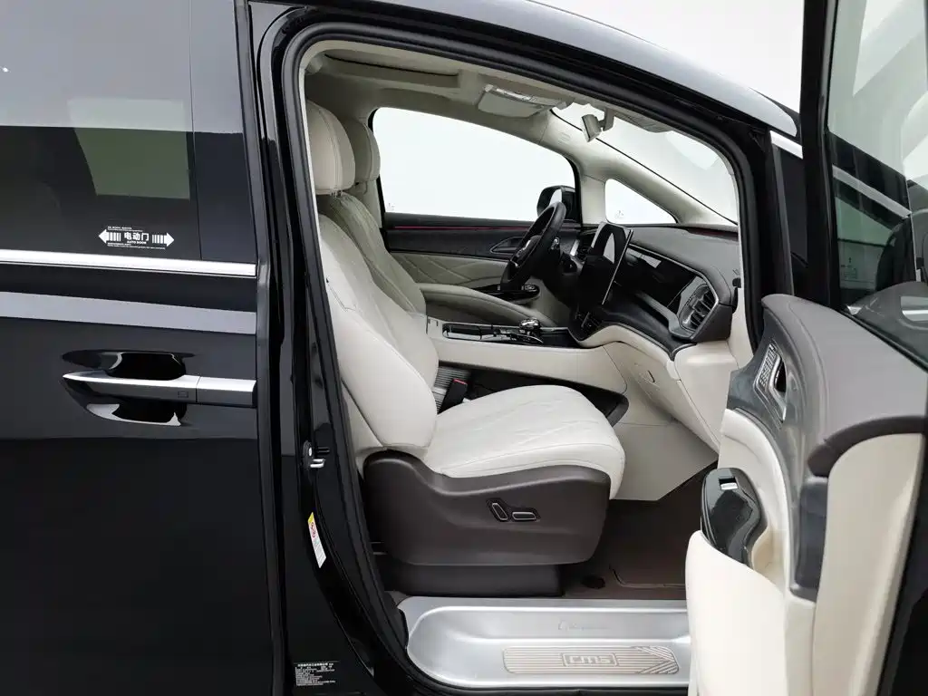 Denza Denza D9 — миниатюра 23