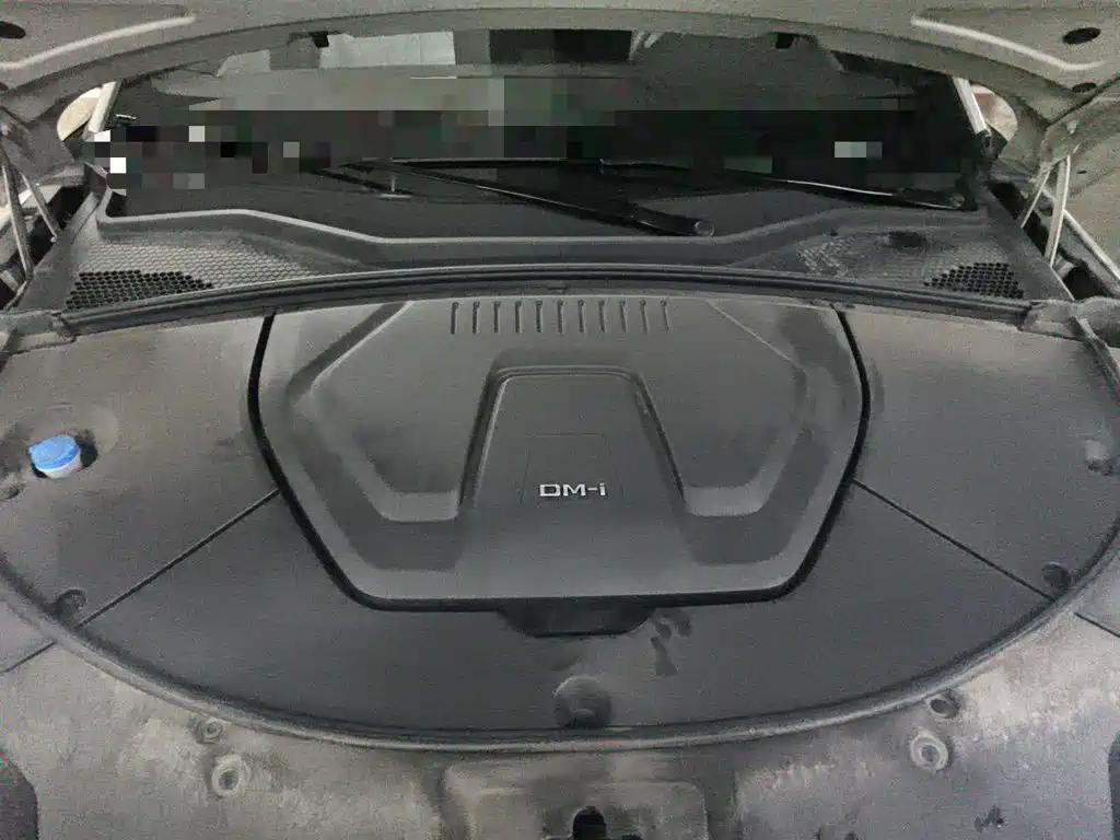 BYD PLUS New Energy — миниатюра 16
