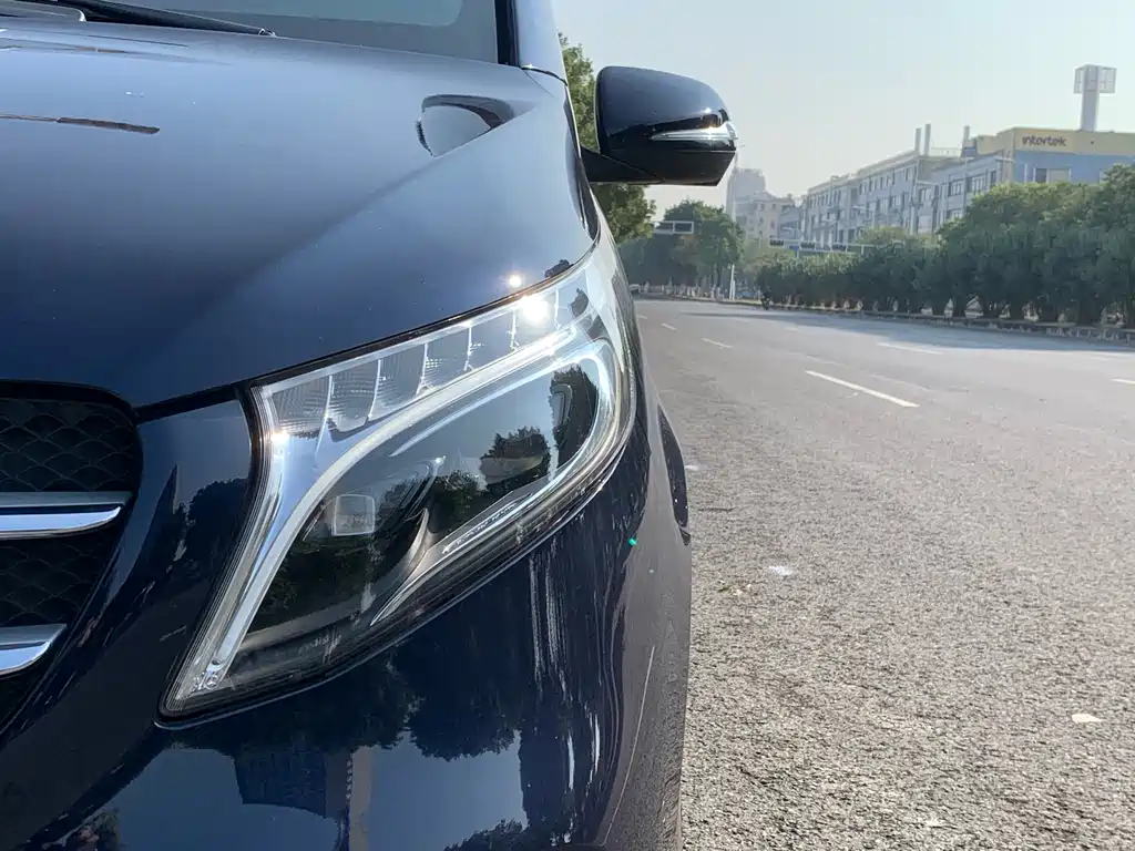 Mercedes-Benz V-Class V 260 Premium Edition, фото 13