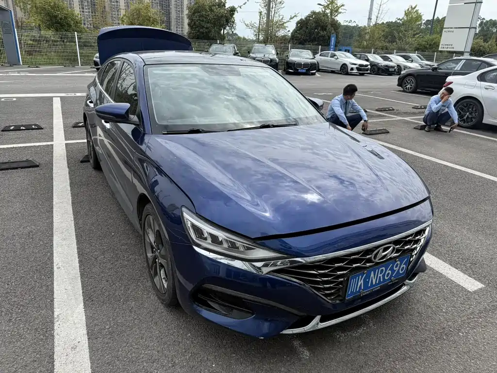 Hyundai Fista — миниатюра 11