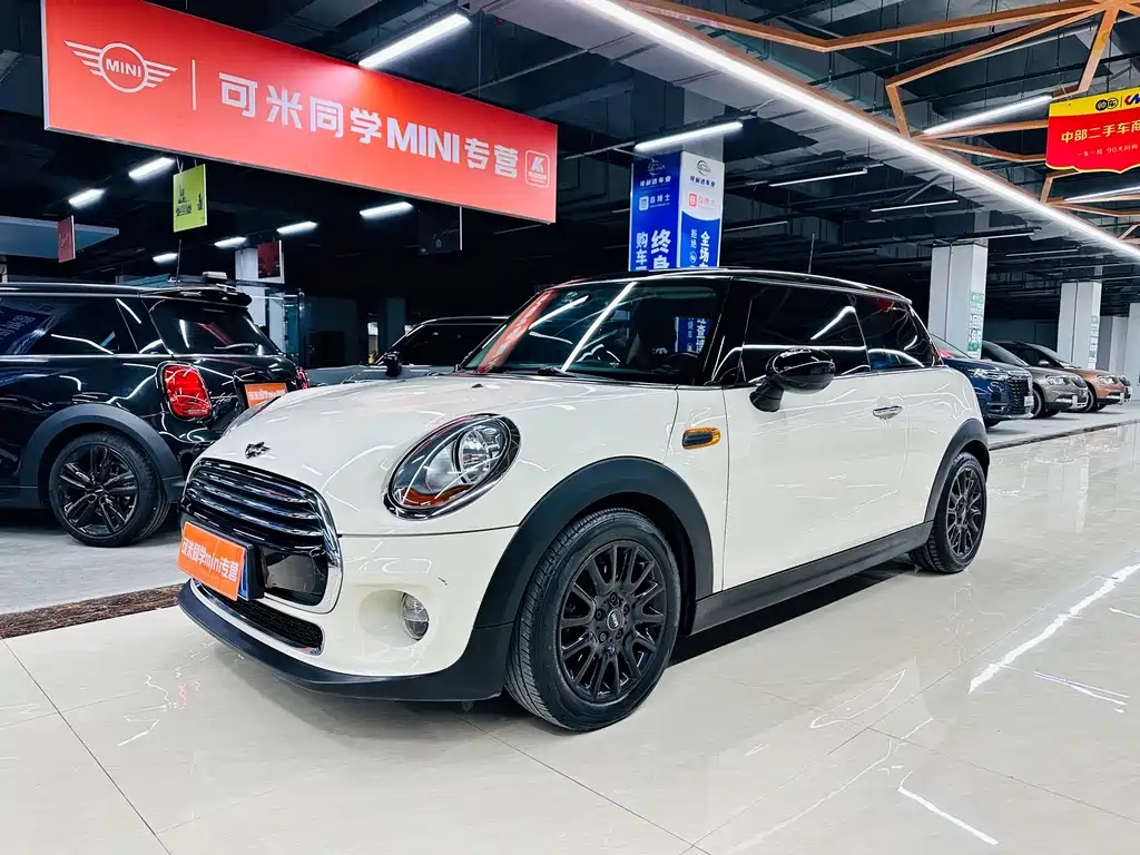 Mini Mini 2017