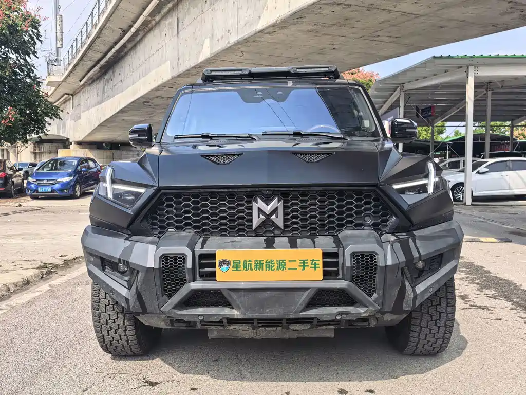 Mengshi Mengshi 917 — миниатюра 2