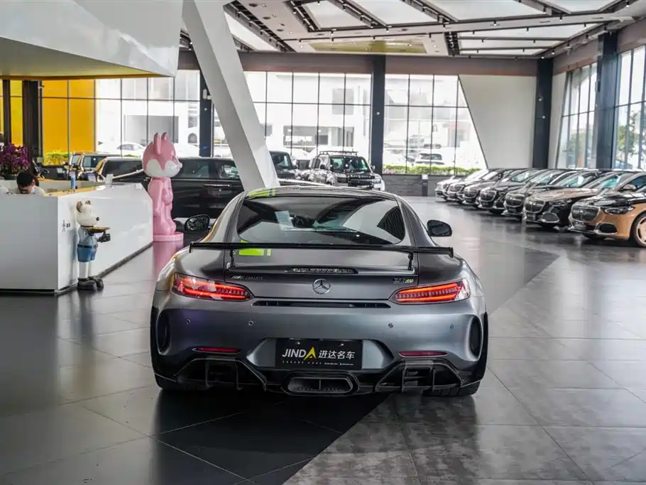 Mercedes-Benz AMG GT AMG GT R PRO, фото 22