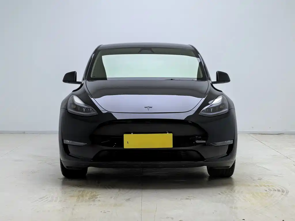Tesla Model Y — миниатюра 2