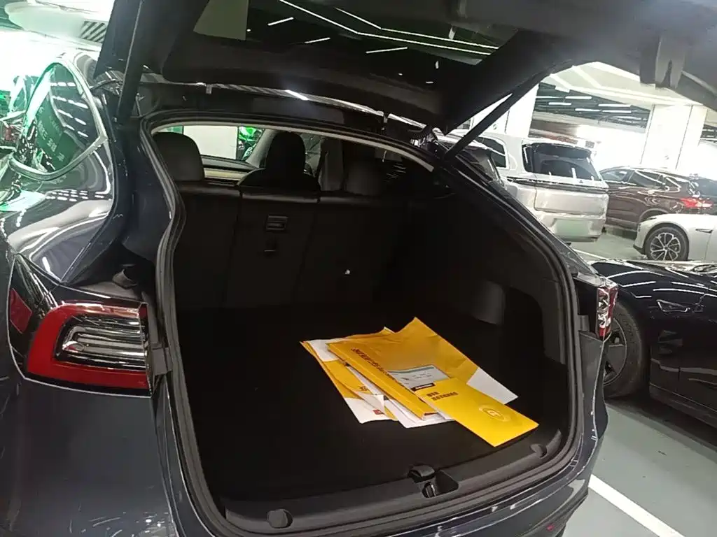 Tesla Model Y — миниатюра 19