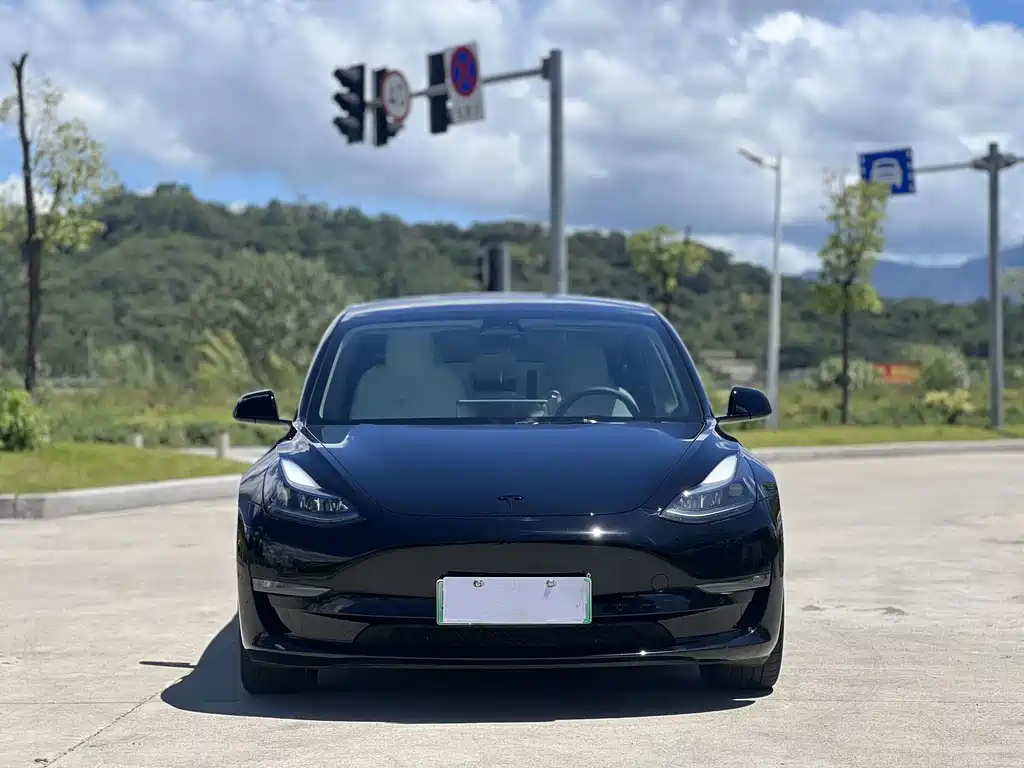 Tesla Model 3 — миниатюра 5