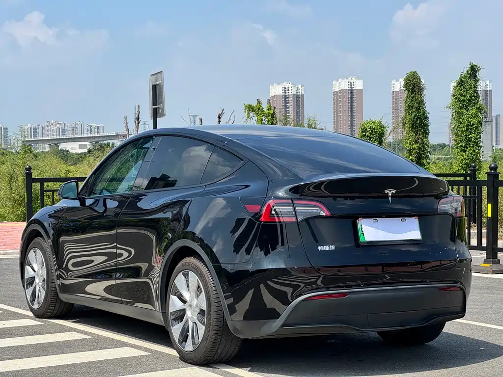 Tesla Model Y — миниатюра 11
