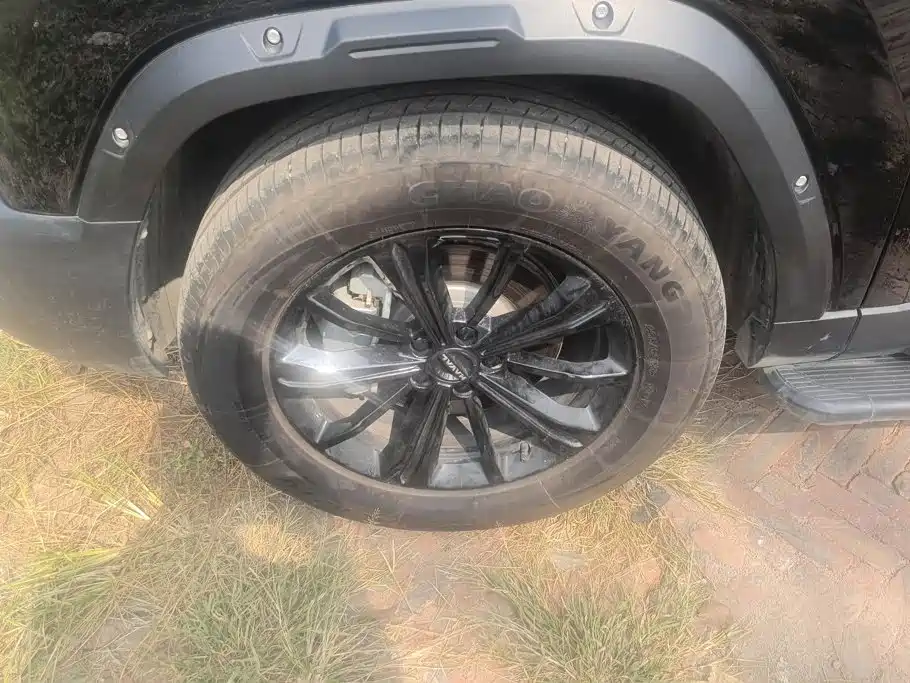 Haval Menglong New Energy — миниатюра 6