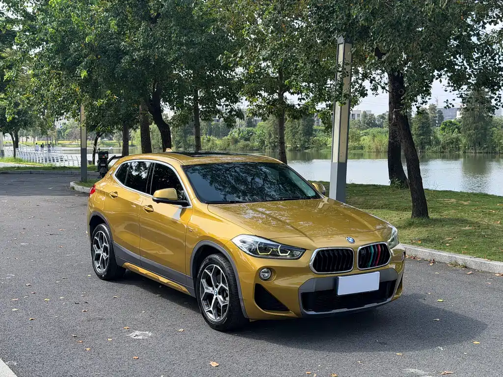BMW X2 (Import) — миниатюра 3