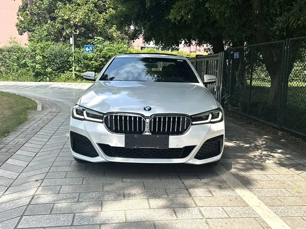 BMW 5 Series — миниатюра 4