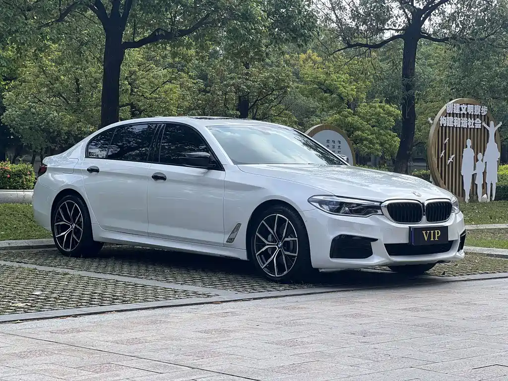 BMW 5 Series — миниатюра 2