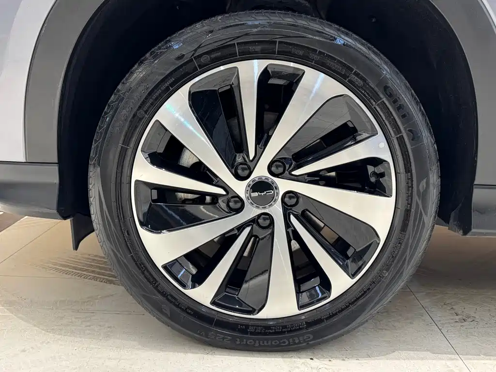 BYD SONGJIANG NEW ENERGY