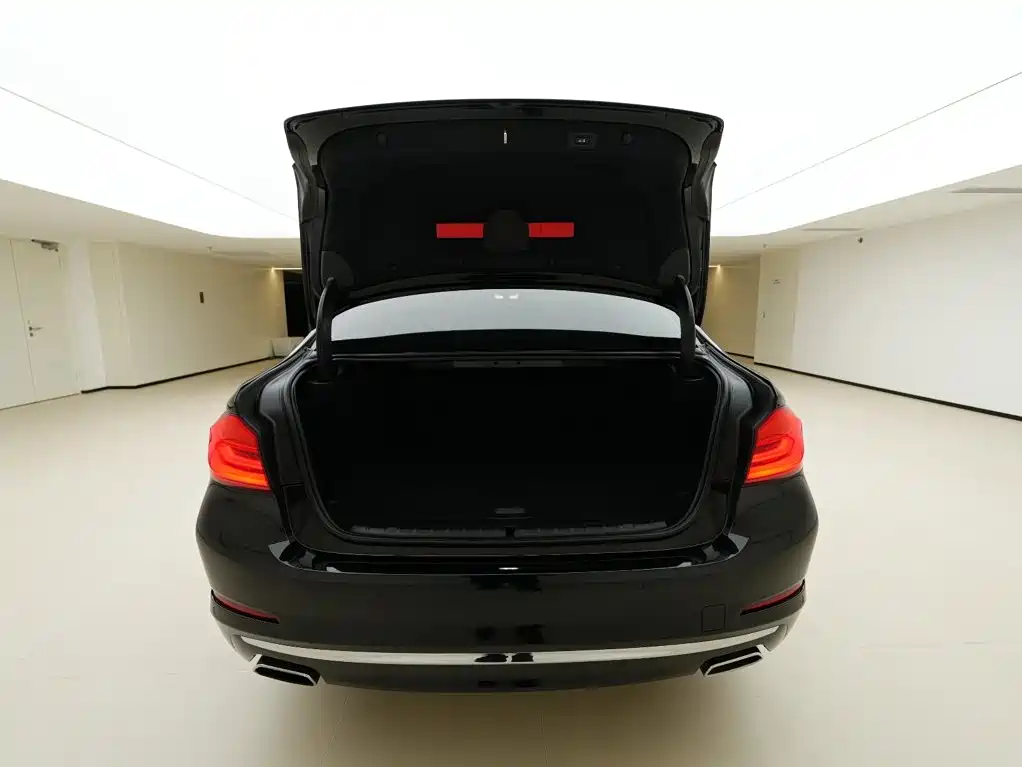 BMW 5 Series New Energy — миниатюра 8