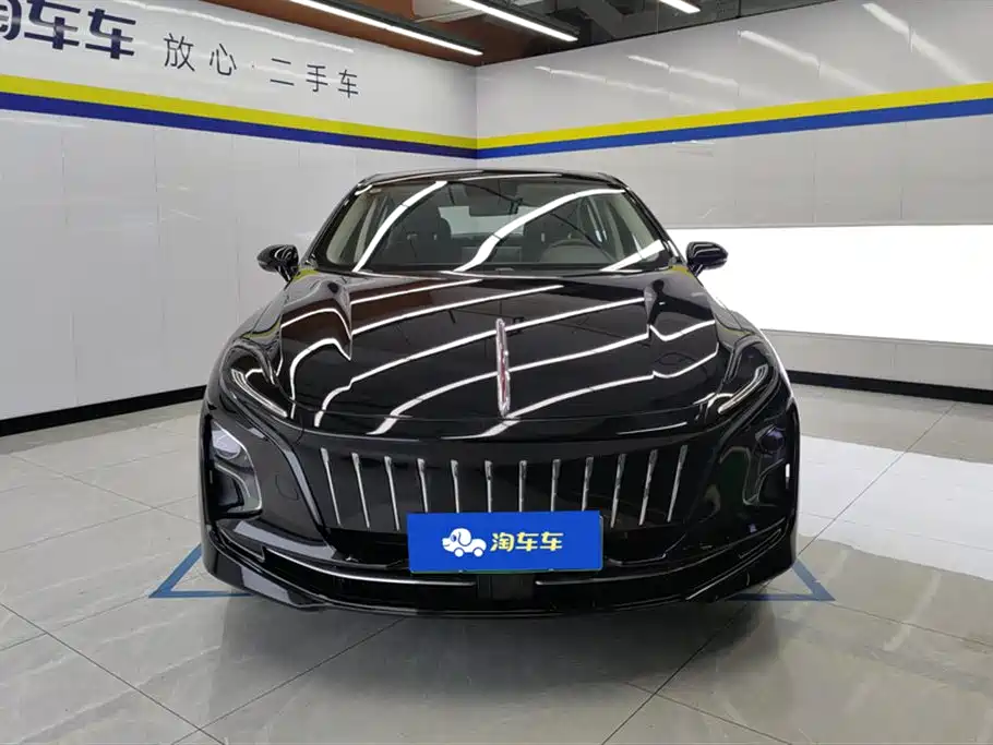 Hongqi HONGQI E QM5