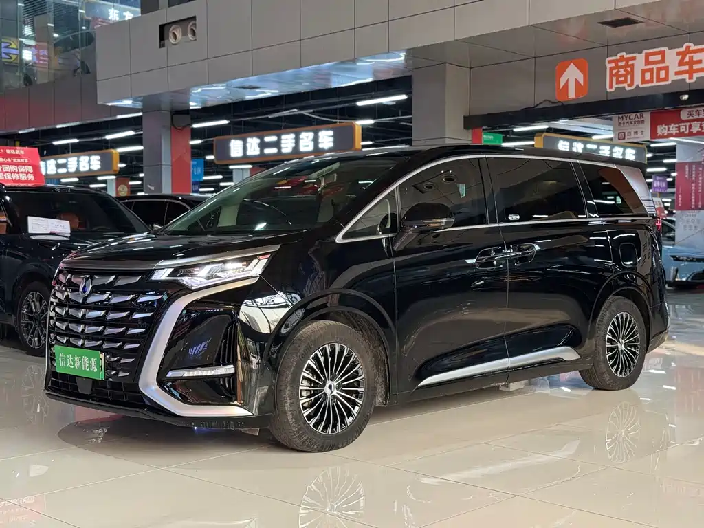 Denza D9