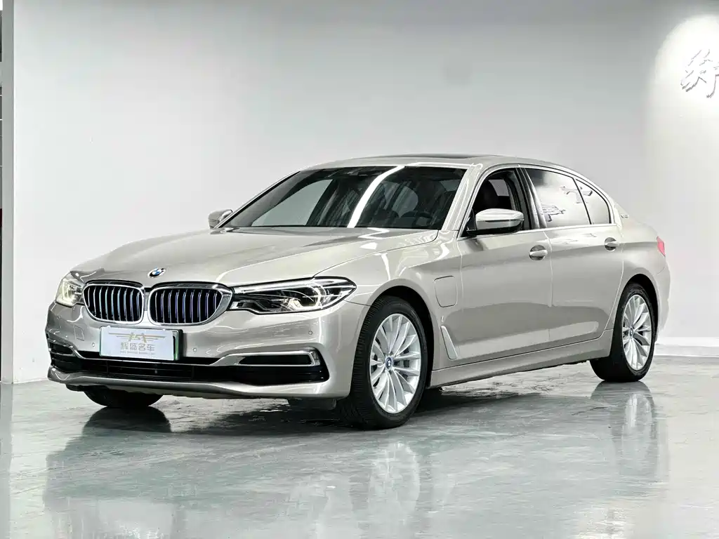 BMW  5 SERIES NEW ENERGY
