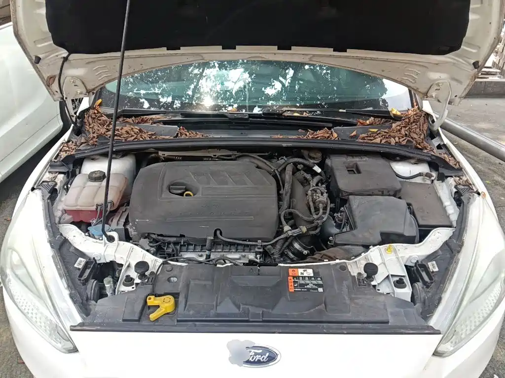 Ford Focus — миниатюра 11