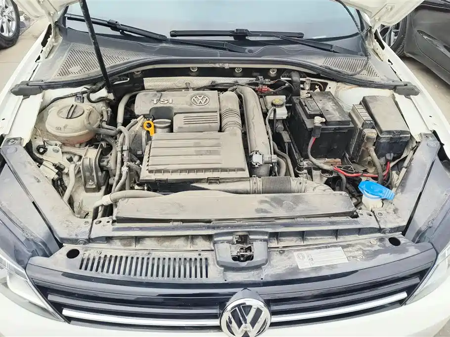 VOLKSWAGEN LINGDU