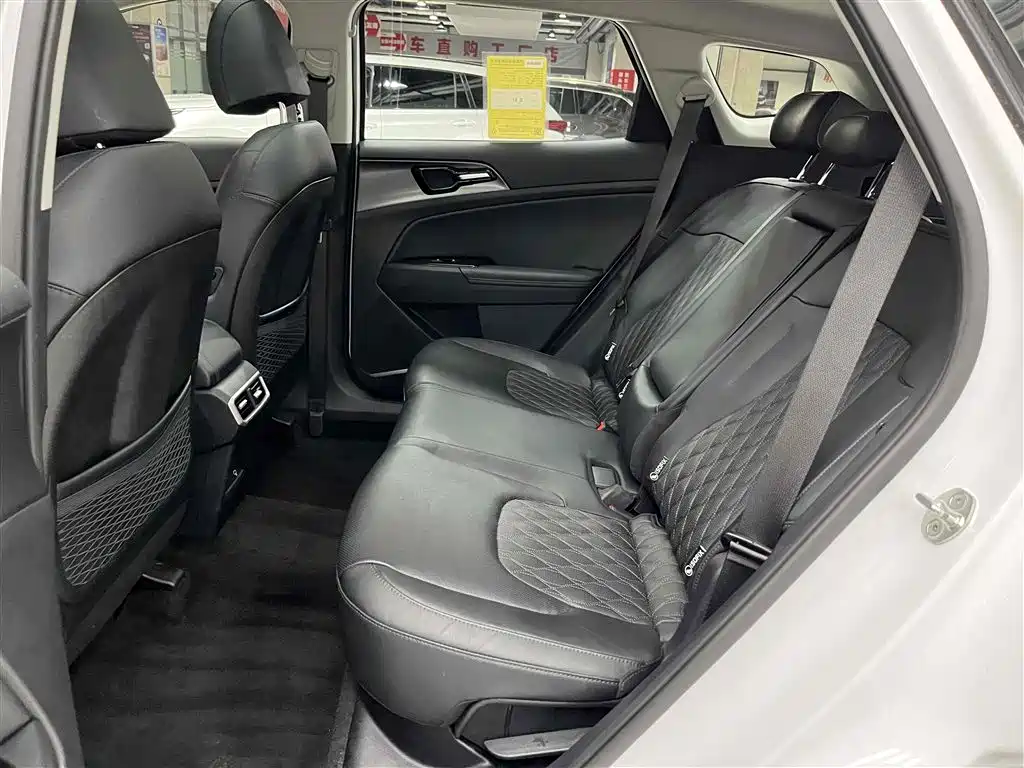 KIA LION PLATINUM EXPANDS THE WORLD