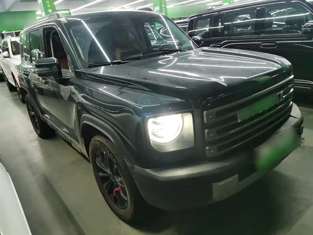 HAVAL  RAPTORS NEW ENERGY