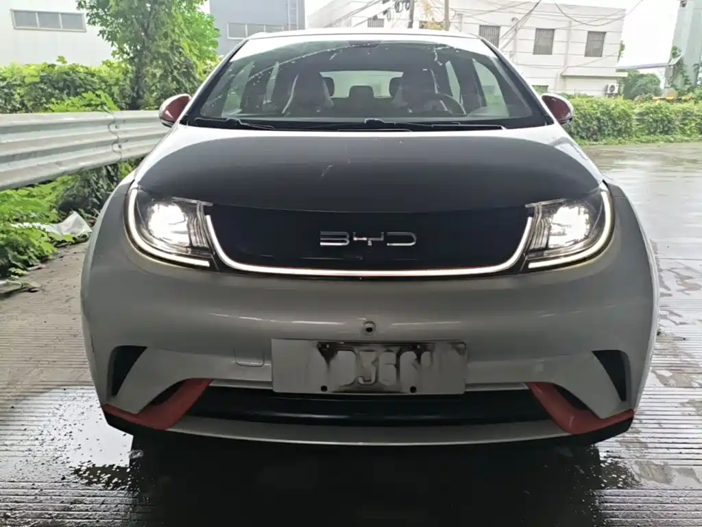 BYD Dolphin — миниатюра 3